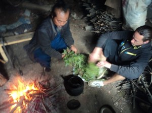 Taoist Medicine