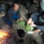 Taoist Medicine
