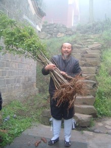 Taoist Medicine