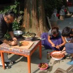 Taoist Medicine