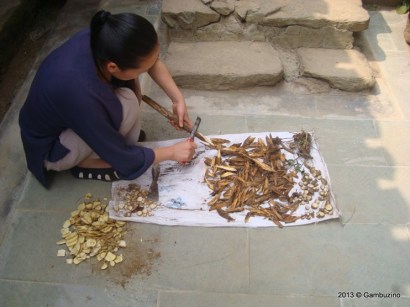 Taoist Medicine