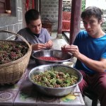 Taoist Medicine