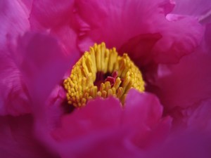IMG_0703