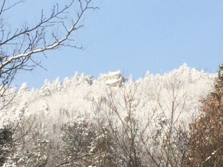 IMG_1323
