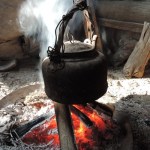 Taoist Medicine