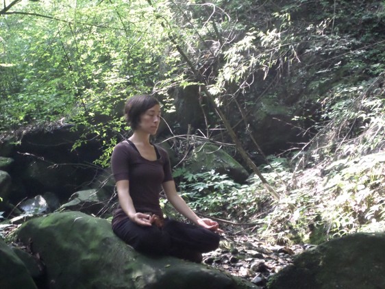 Wudang Qigong