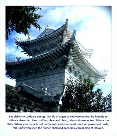 wudang saying